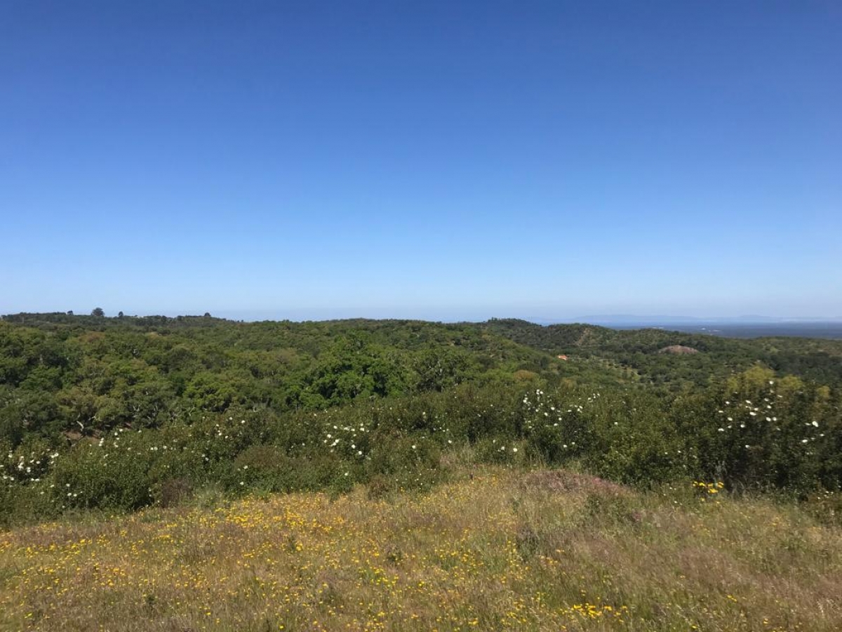 Land for sale in Grândola, Portugal — €1,600,000