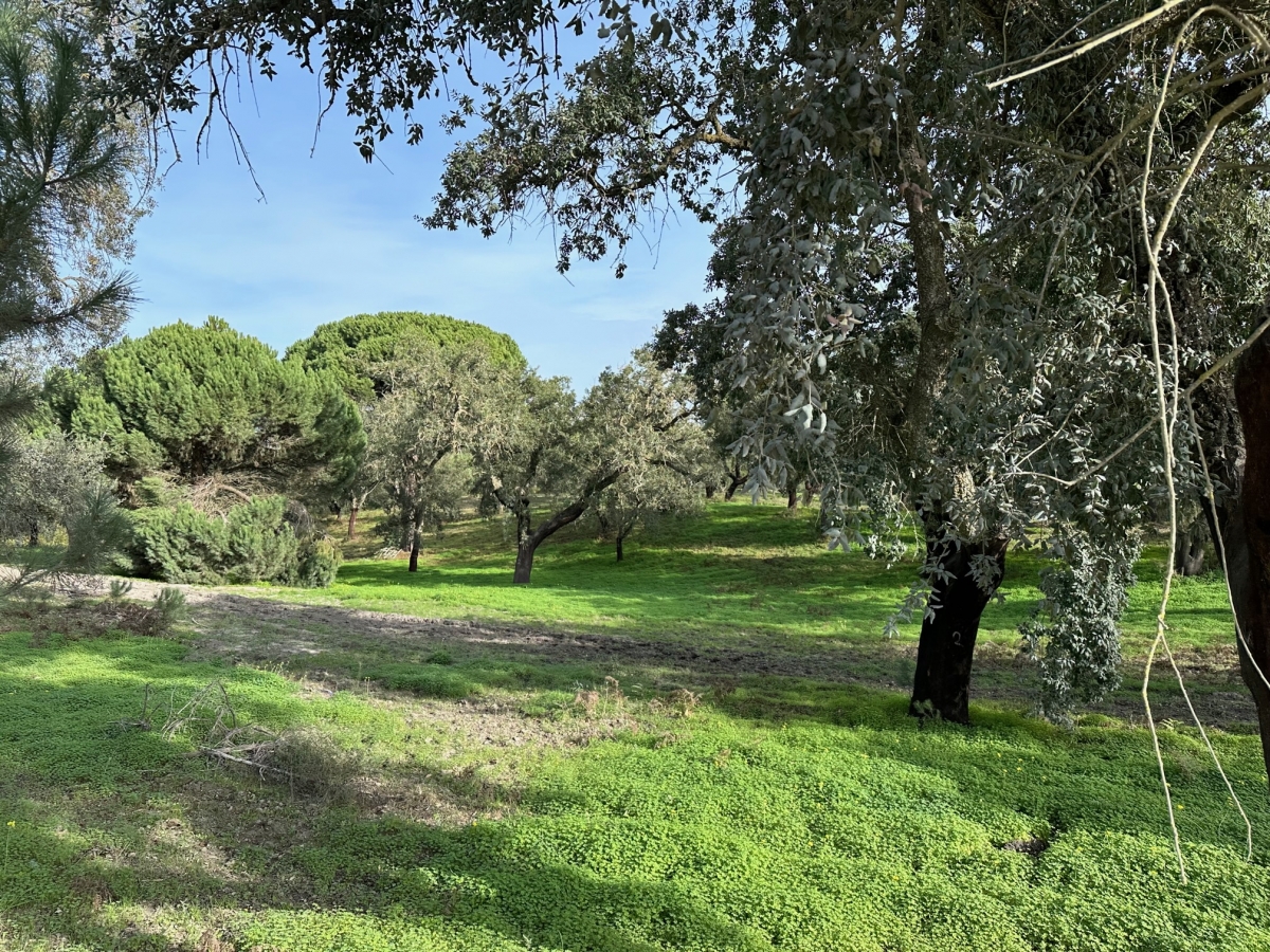 Land for sale in Sesimbra, Portugal — €5,000,000