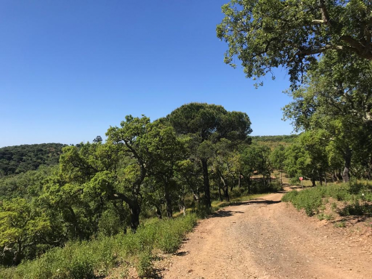 Land for sale in Grândola, Portugal — €1,300,000