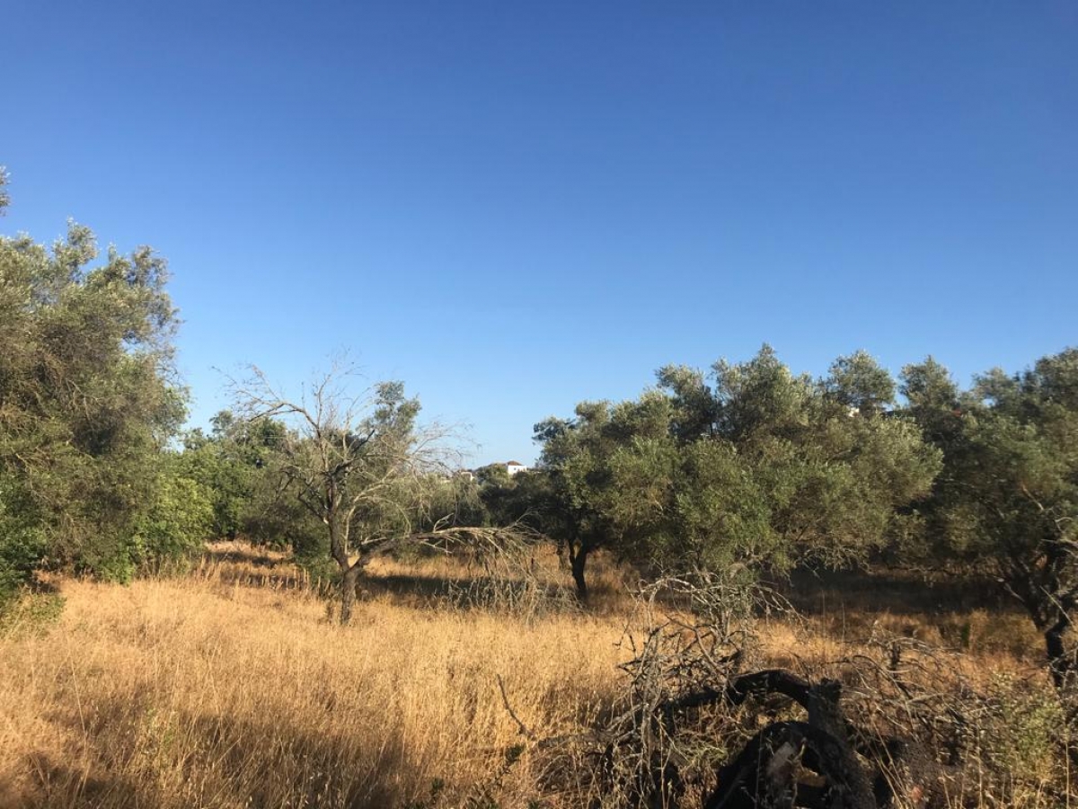 Land for sale in Tavira, Portugal — €4,200,000