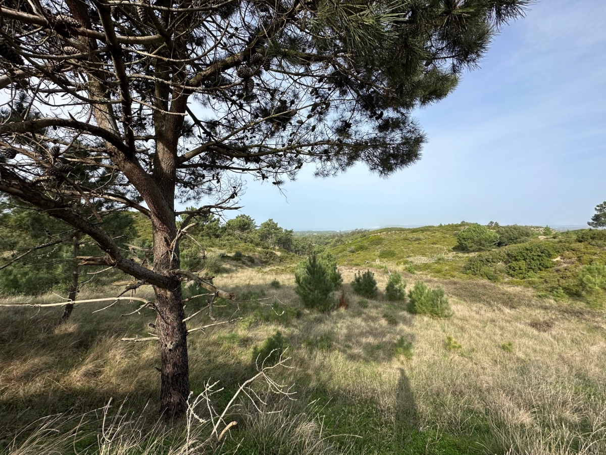 Land for sale in Sintra, Portugal — €750,000
