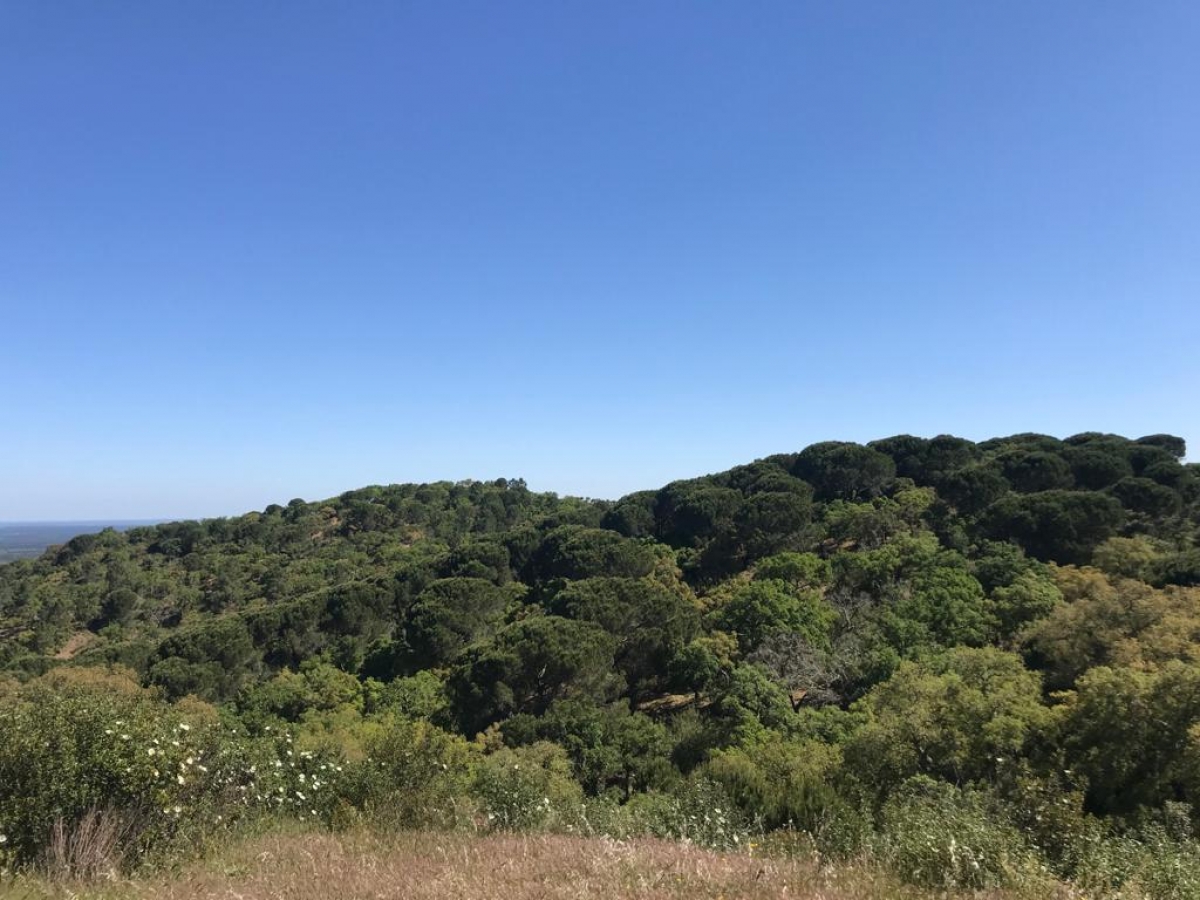 Land for sale in Grândola, Portugal — €1,700,000