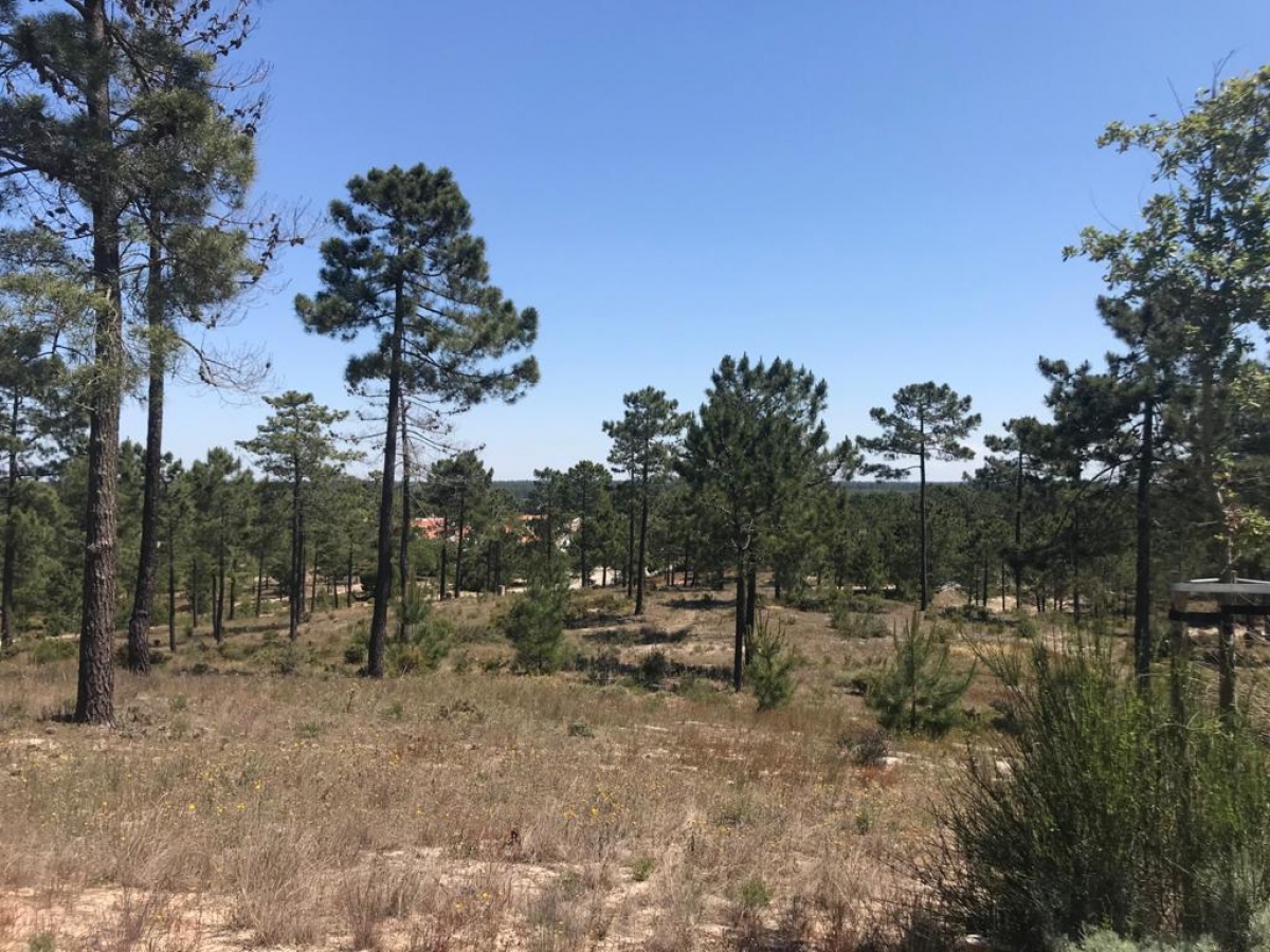 Land for sale in Grândola, Portugal — €1,500,000