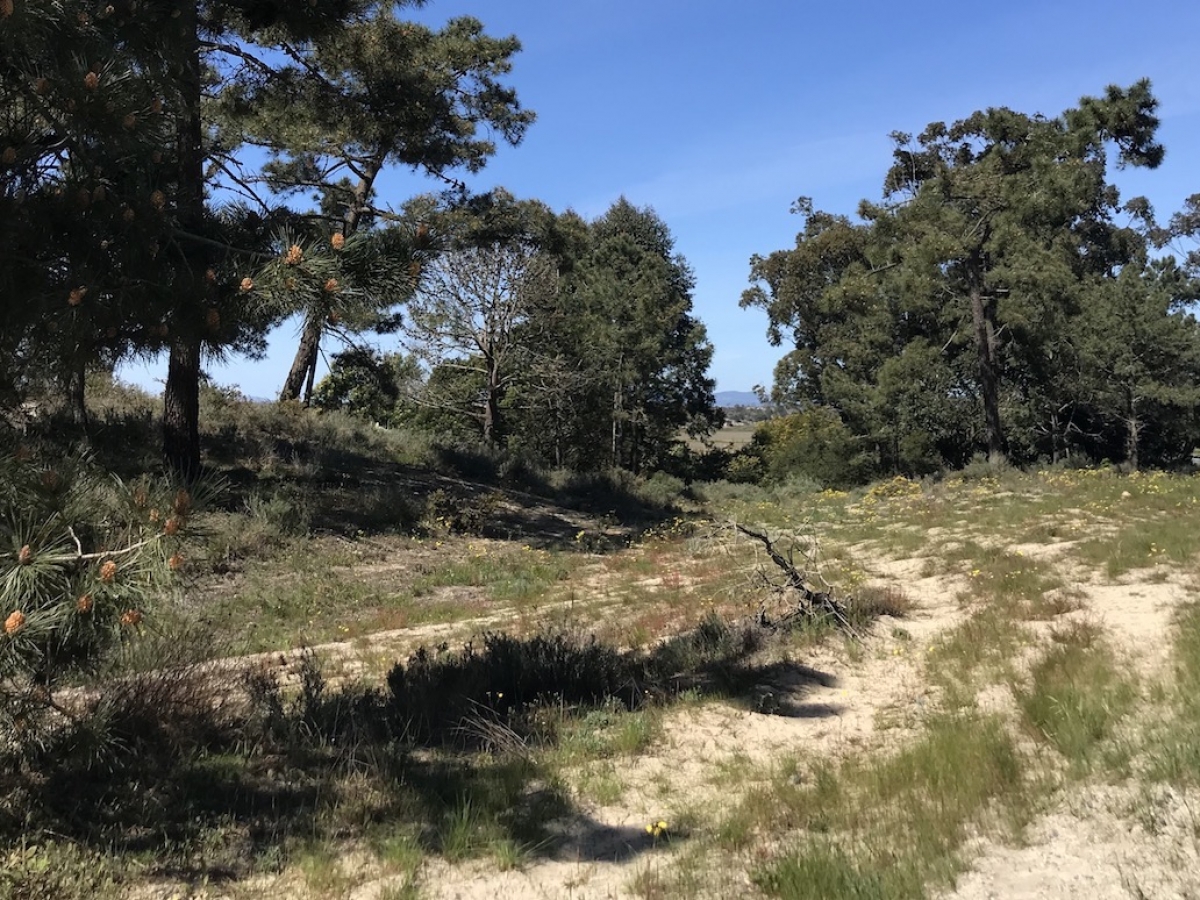 Land for sale in Grândola, Portugal — €980,000