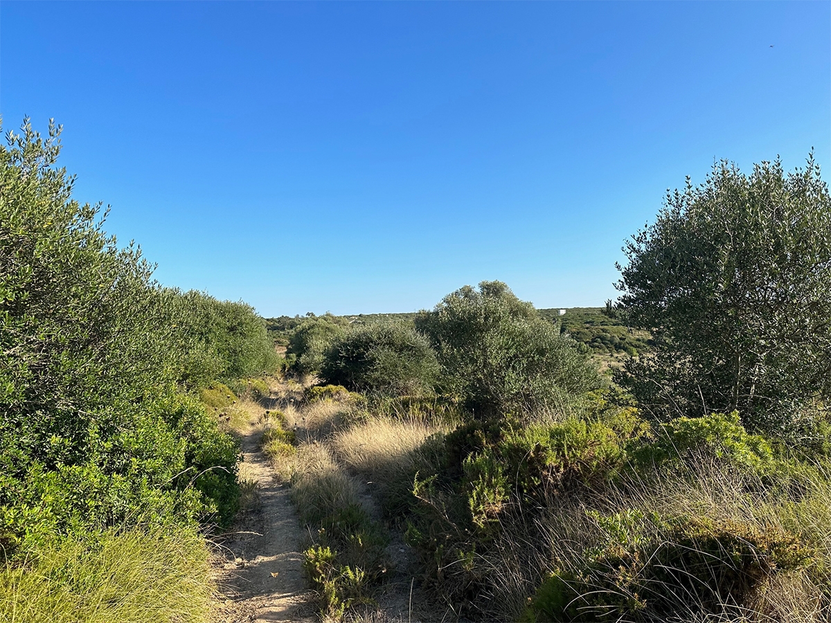 Land for sale in Sesimbra, Portugal — €450,000